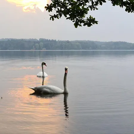 Seeloft Mit Balkon, Seeblick, 300m Zum *